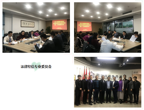 法律经信专业委员会_副本.png