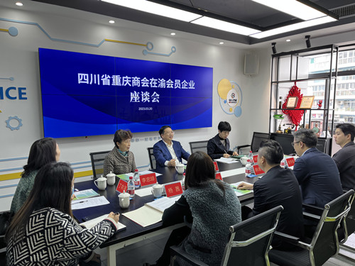 座谈会1_副本.jpg