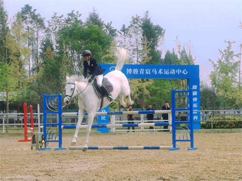 马术表演.jpg