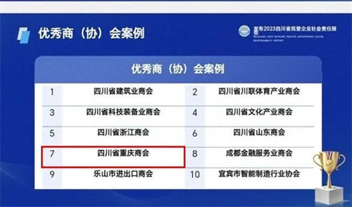 四川省民营企业社会责任报告（2023）优秀商（协）会案例.jpg
