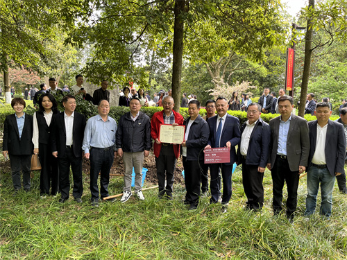 种树2.jpg